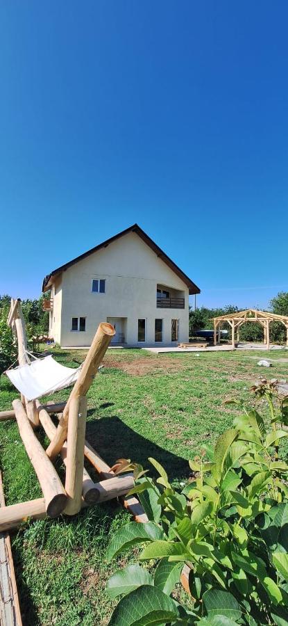 Pensiunea Voicu - B&B