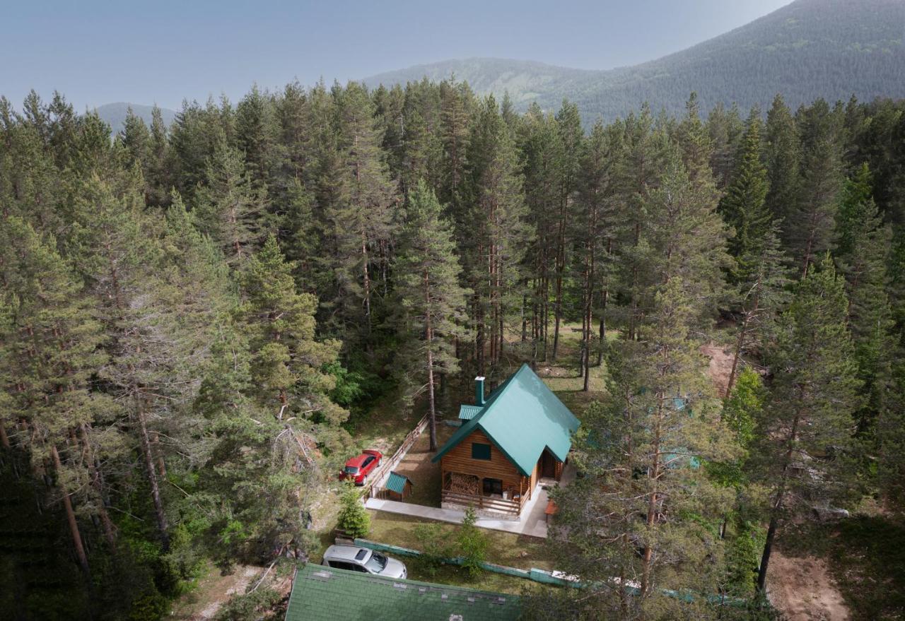 Villa Foresta - Bed and Breakfast Žabljak