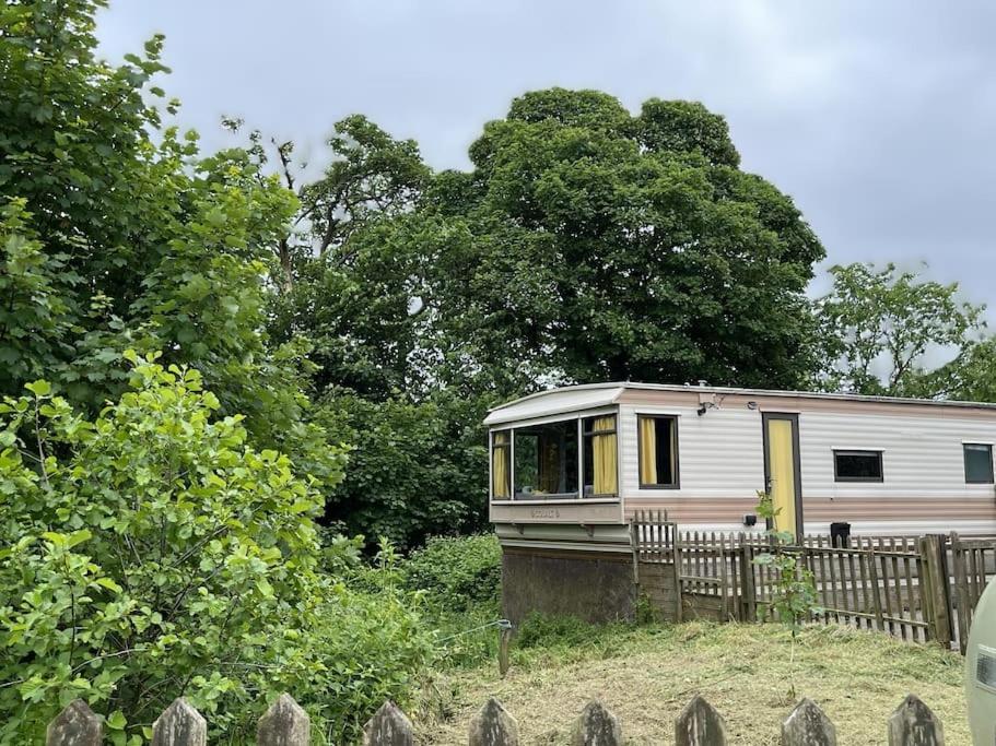Hare Meadow Lodge - B&B