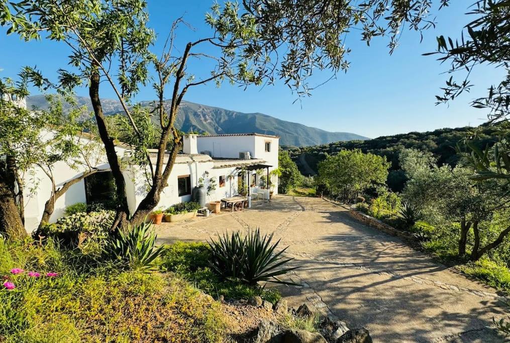 Almond Hill House - Bed and Breakfast