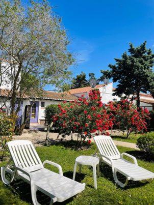Les Laurier rose - B&B Saintes-Maries-de-la-Mer