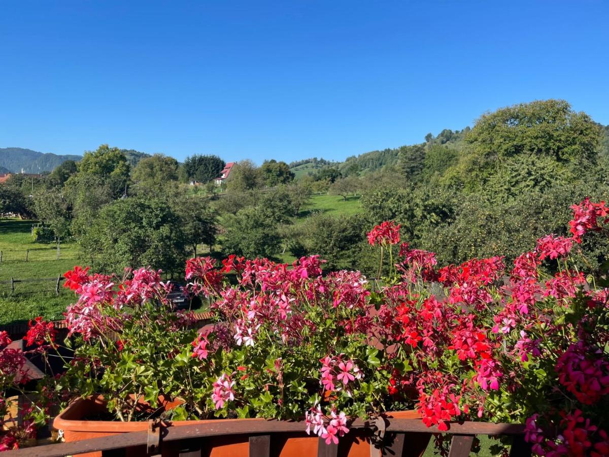 Vila Niculina - B&B Moeciu de Jos