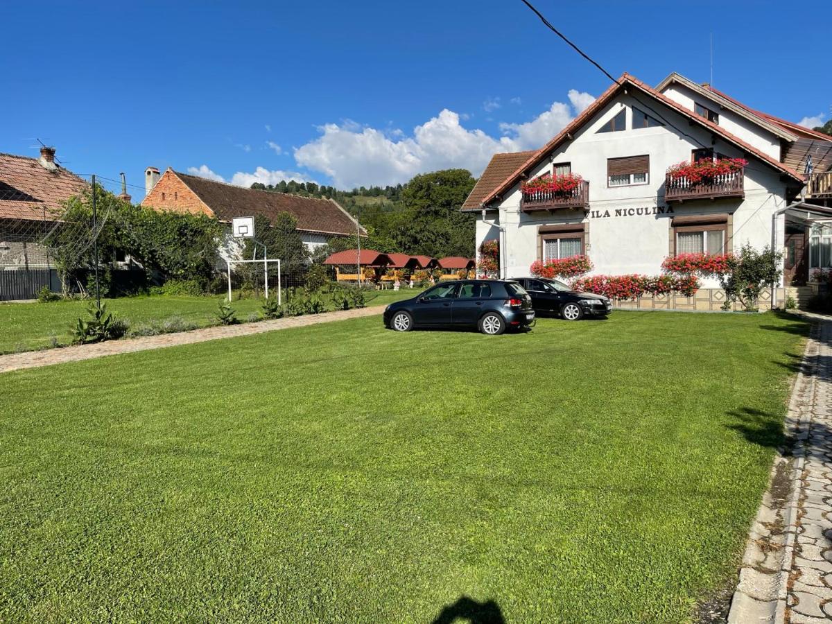 Vila Niculina - B&B