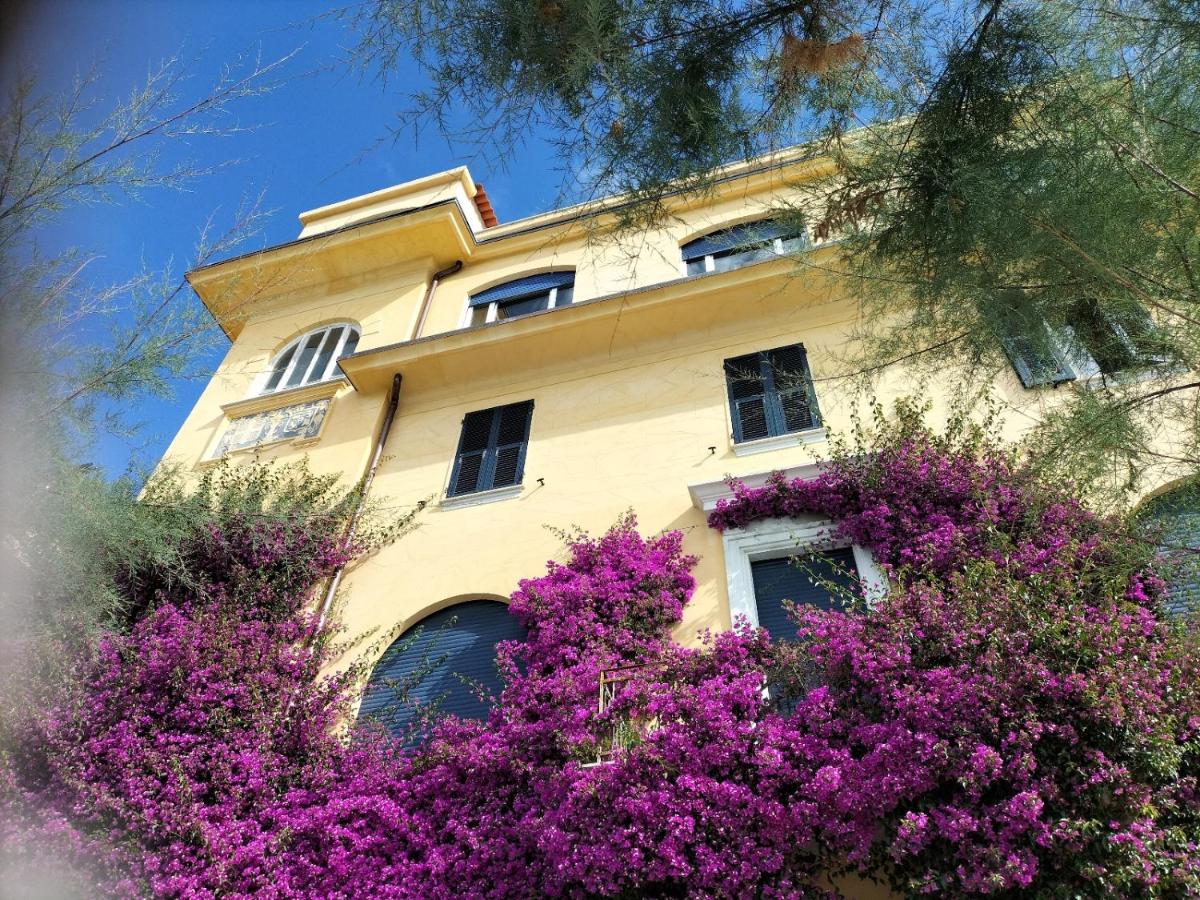 La Bouganville Beatiful Sea view - B&B