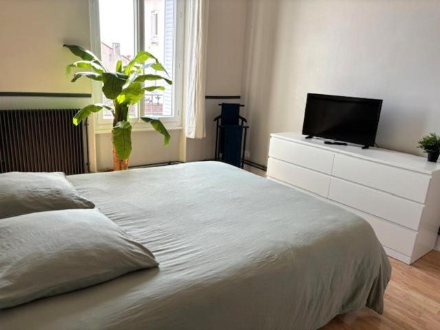 GRAND APPARTEMENT DE CARACTERE à VICHY - Chambres d’hôtes