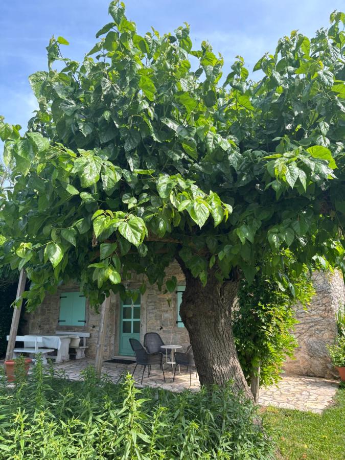 Domos Selene Casa delle Fate - Chambres d’hôtes Tinjan