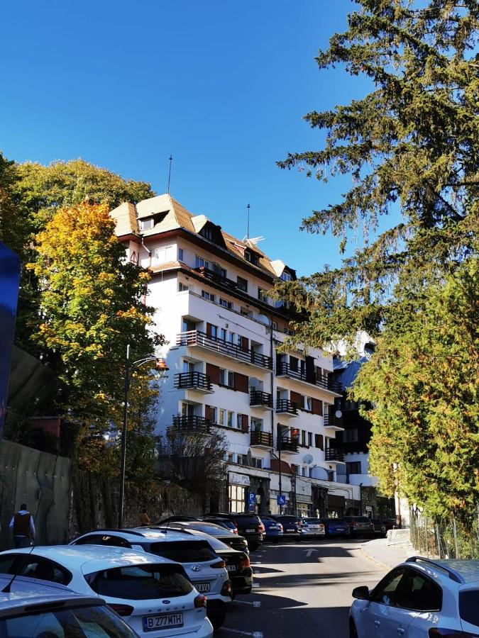 Cazare Parc Ultracentral - Ferienwohnung Sinaia