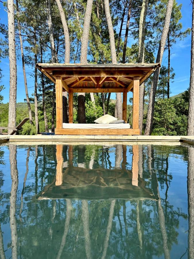 natur o lodge piscine - Chambres d’hôtes