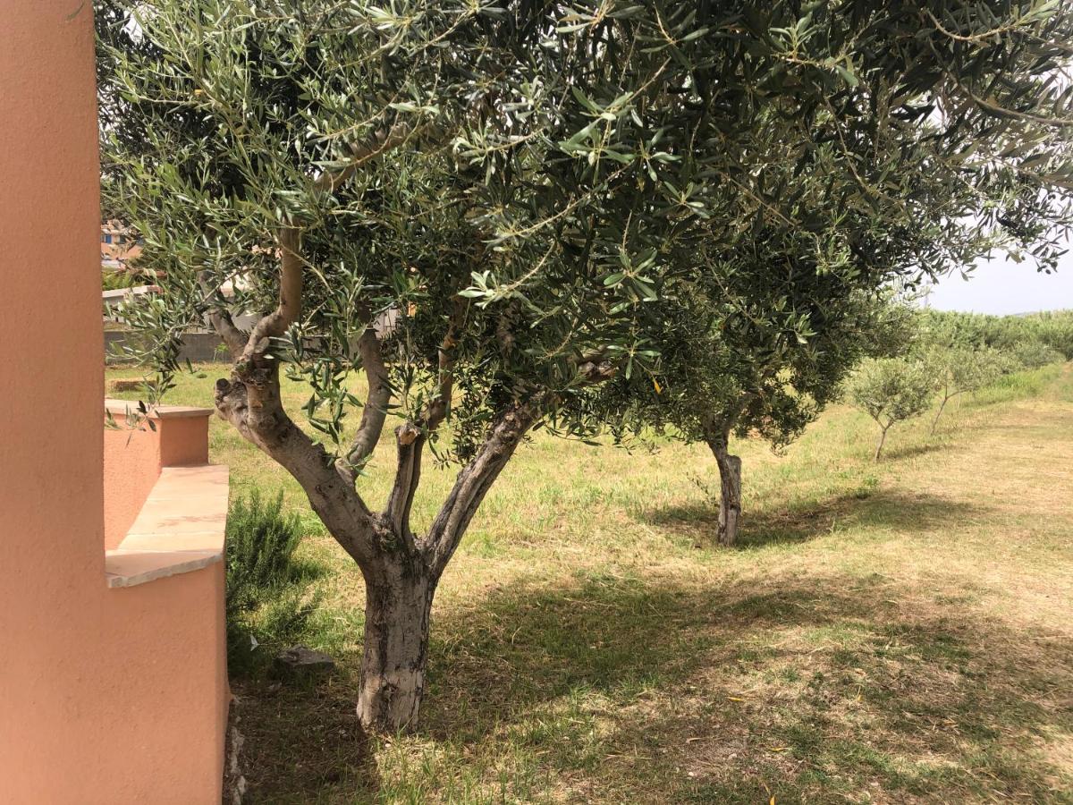 Appartement - Vue sur Jardin