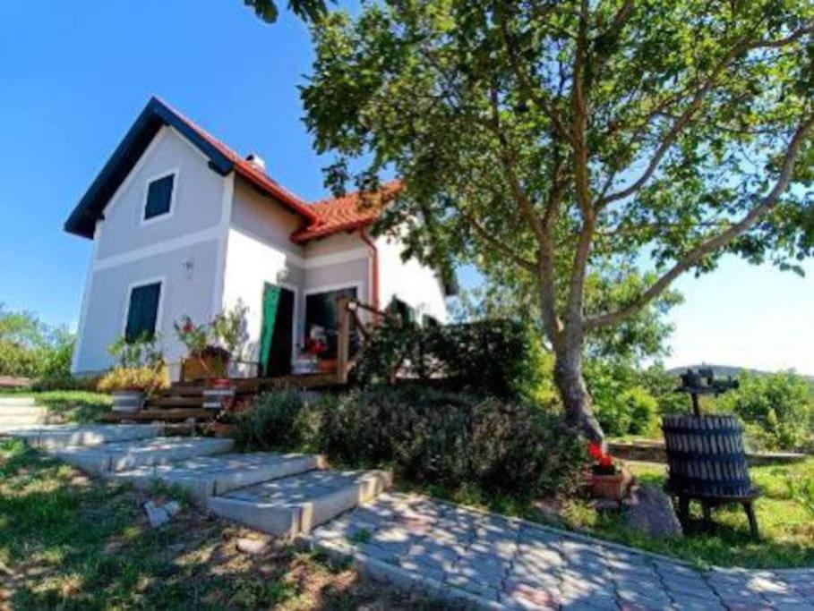 Panorámaház Lovason - B&B