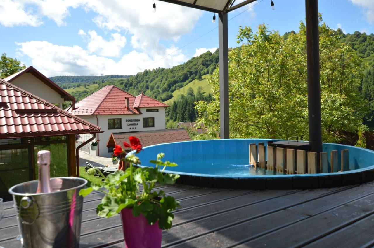 Pensiunea Daniela - B&B Moisei