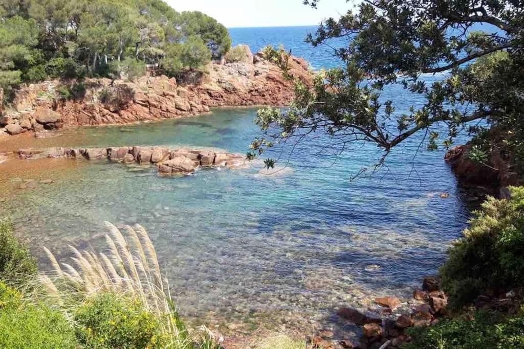 Superbe appartement à 150 m plage de la péguière - B&B