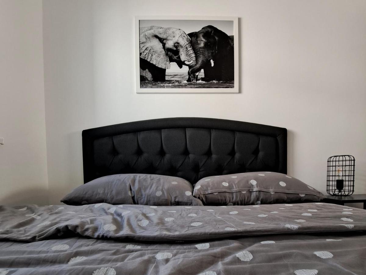Elephant Apartments - Bed and Breakfast
