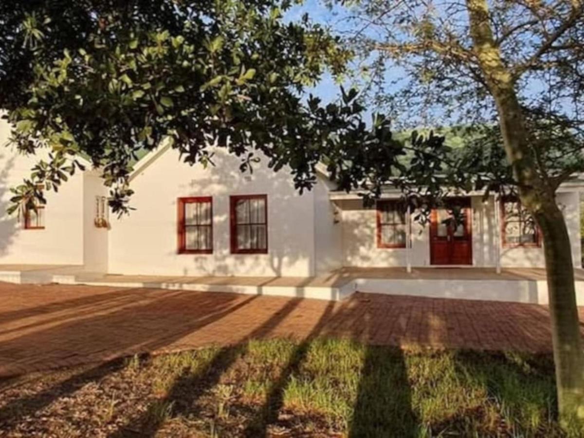 Olive And Vine Stay - B&B