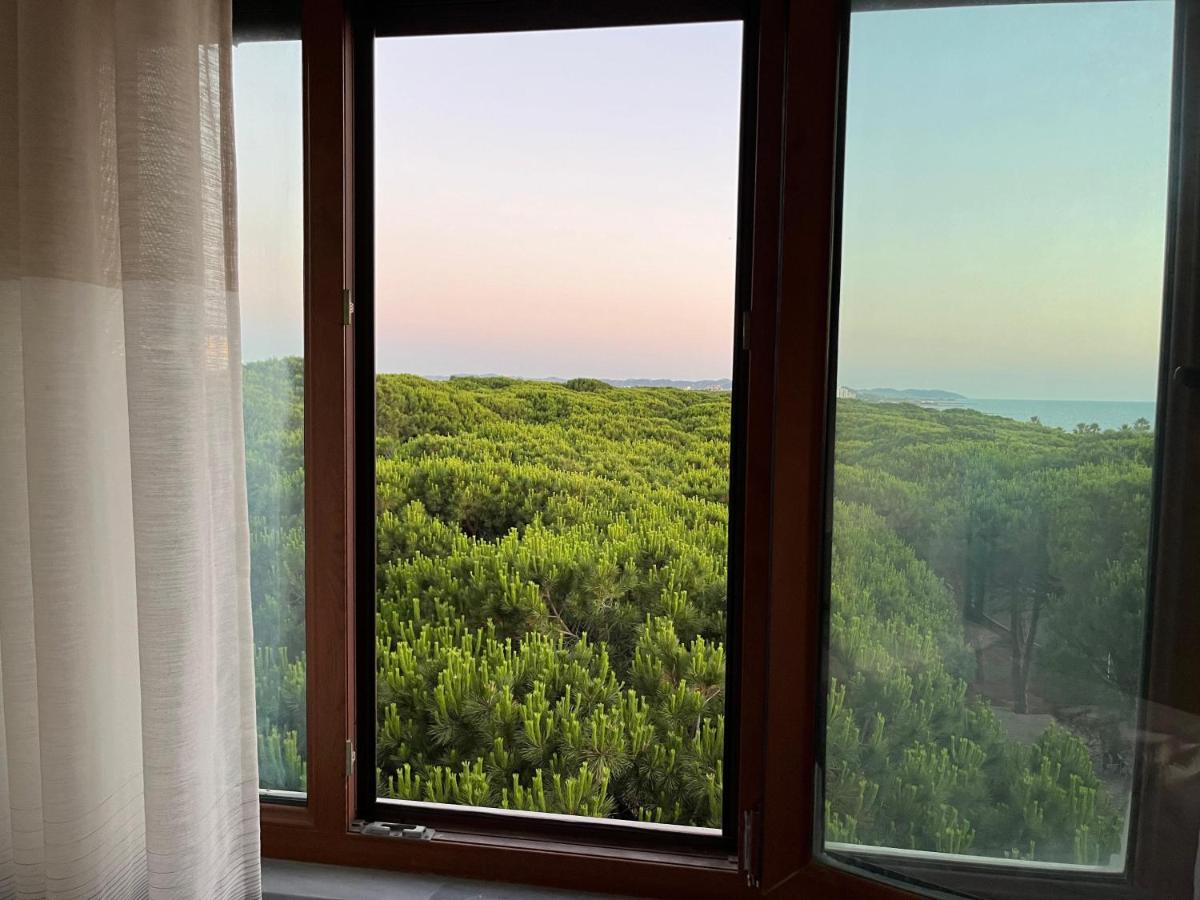 Mali i Robit SeaView Apartment - B&B