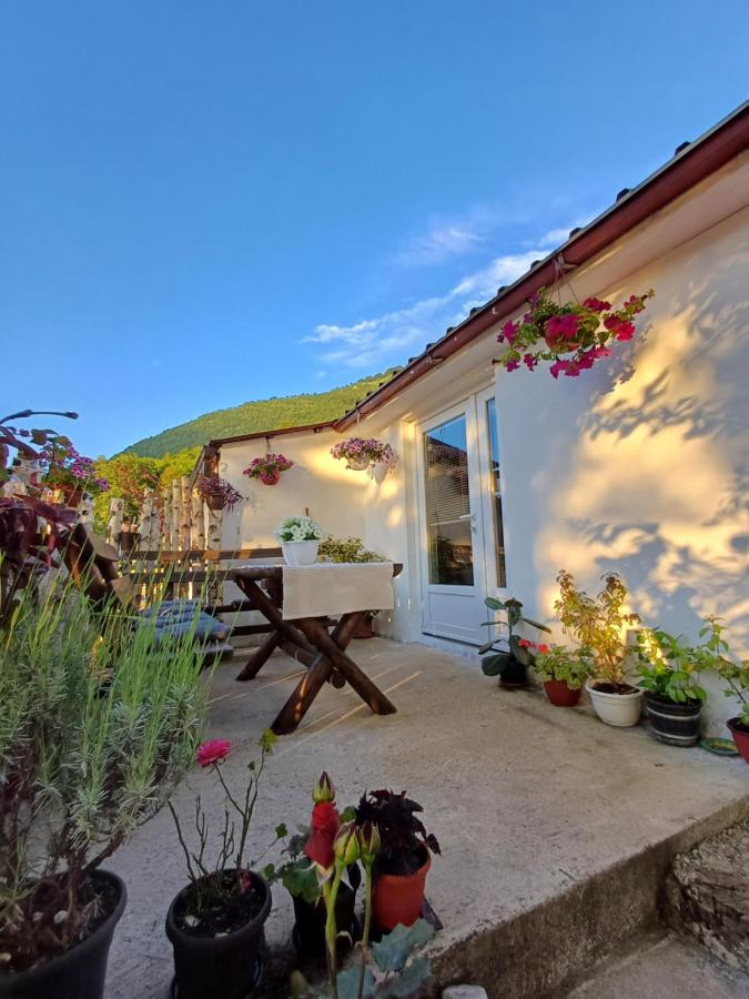 Apartment Relax - B&B