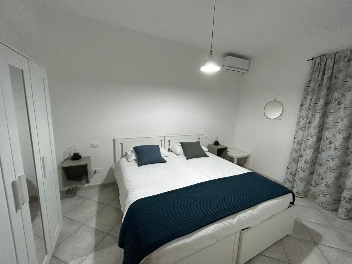 Camera King Standard