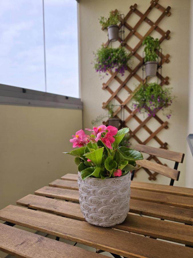 Pae külaliskorter - B&B Kärdla