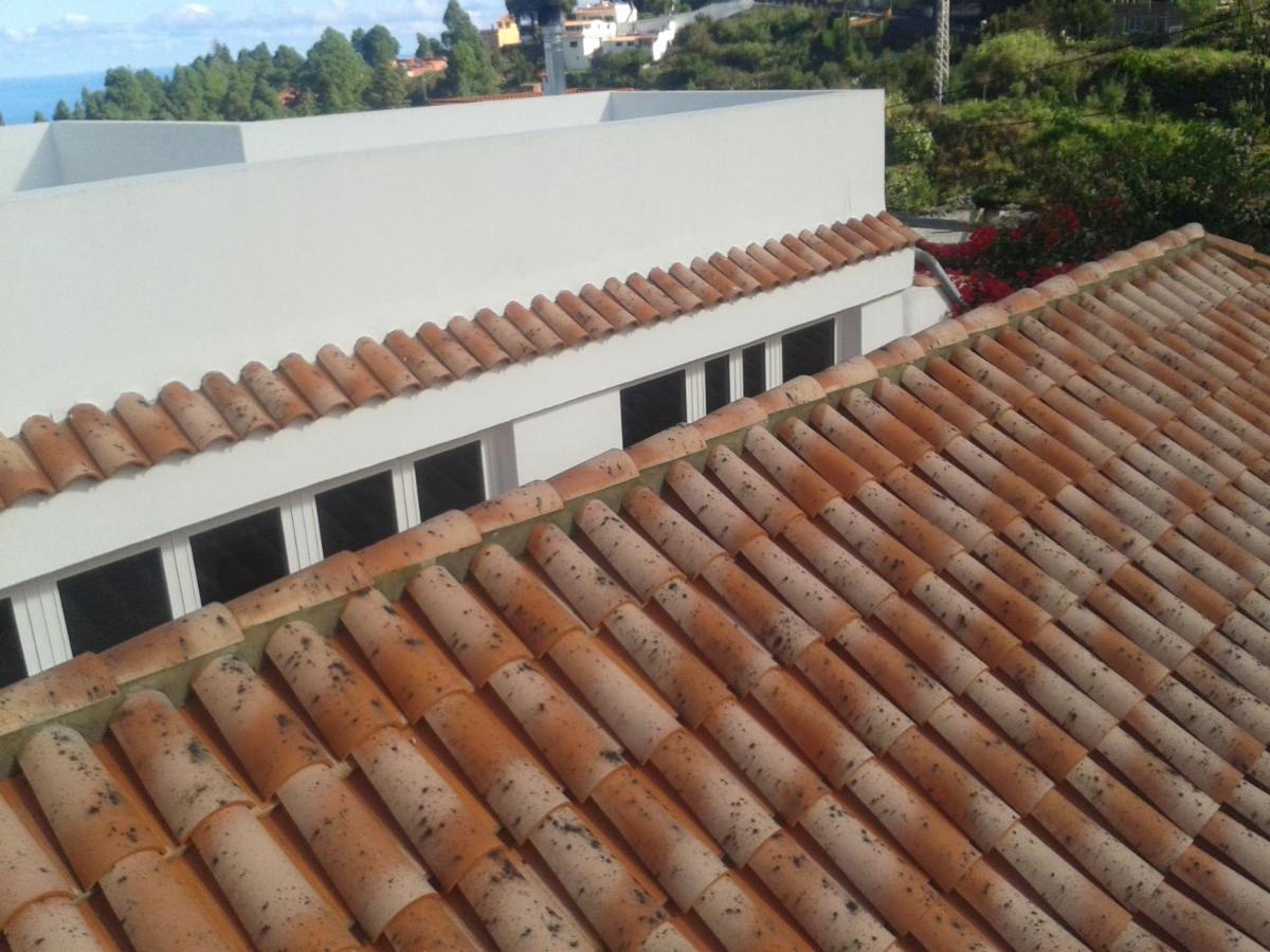 Finca las Palmeras - B&B Icod de los Vinos