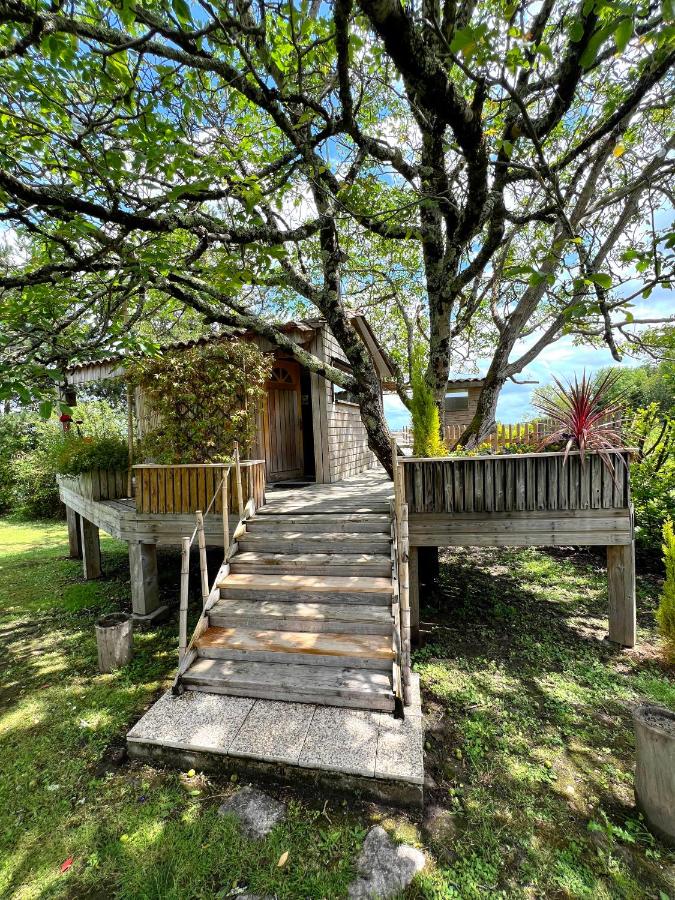 Cabane en bois climatisée - B&B