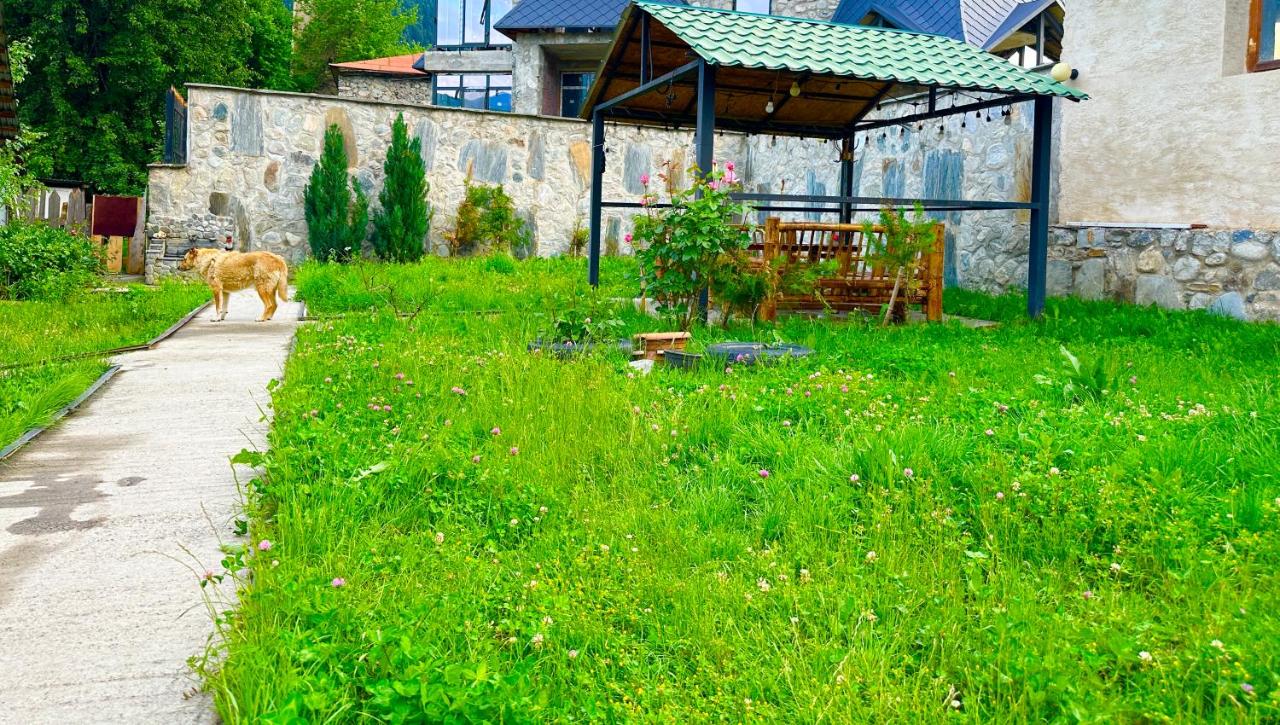 Mziuri Guest House - B&B