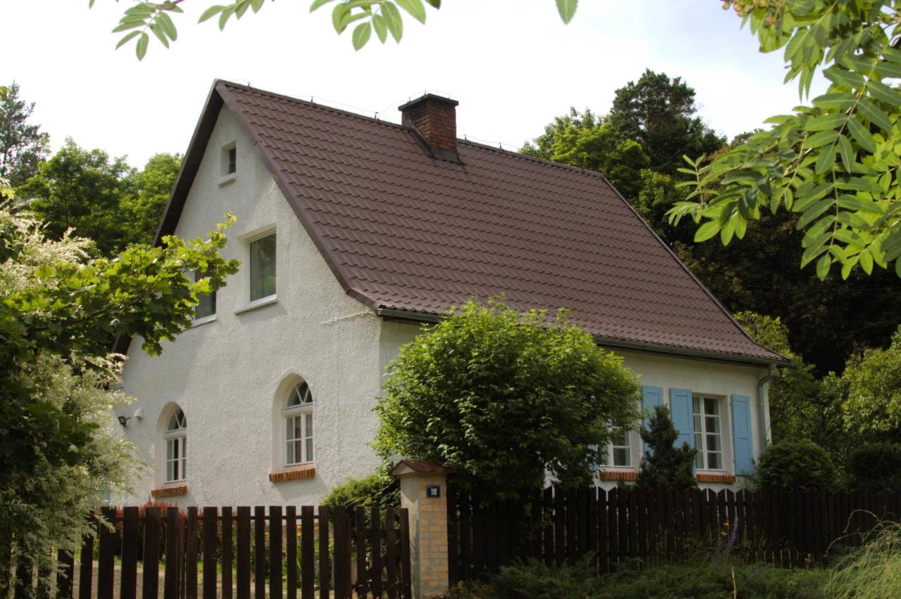 Siedlisko Opieńka