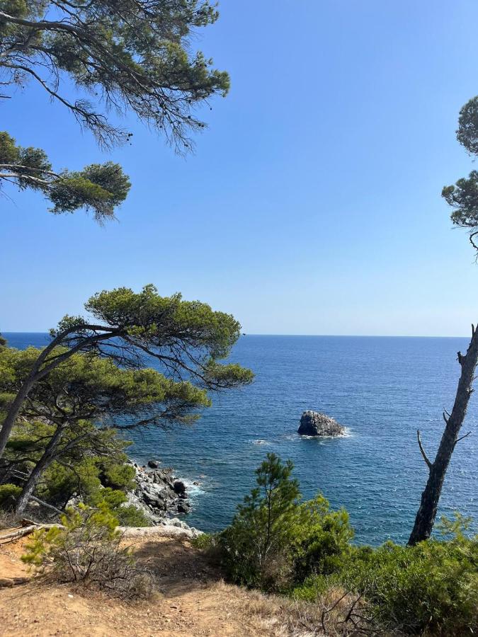 Cigalou fabuleux studio entre le Brusc et Sanary - B&B