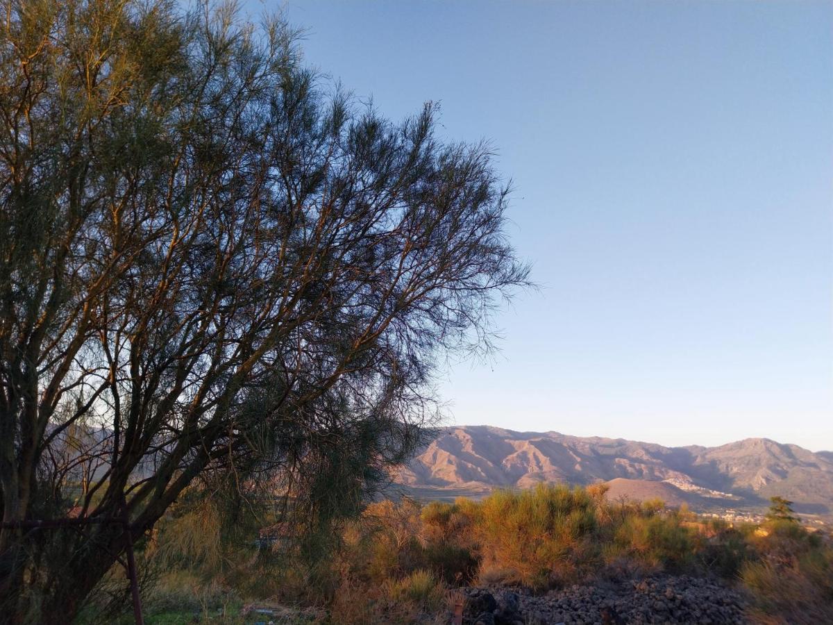 Il Calice dell'Etna - B&B Passopisciaro
