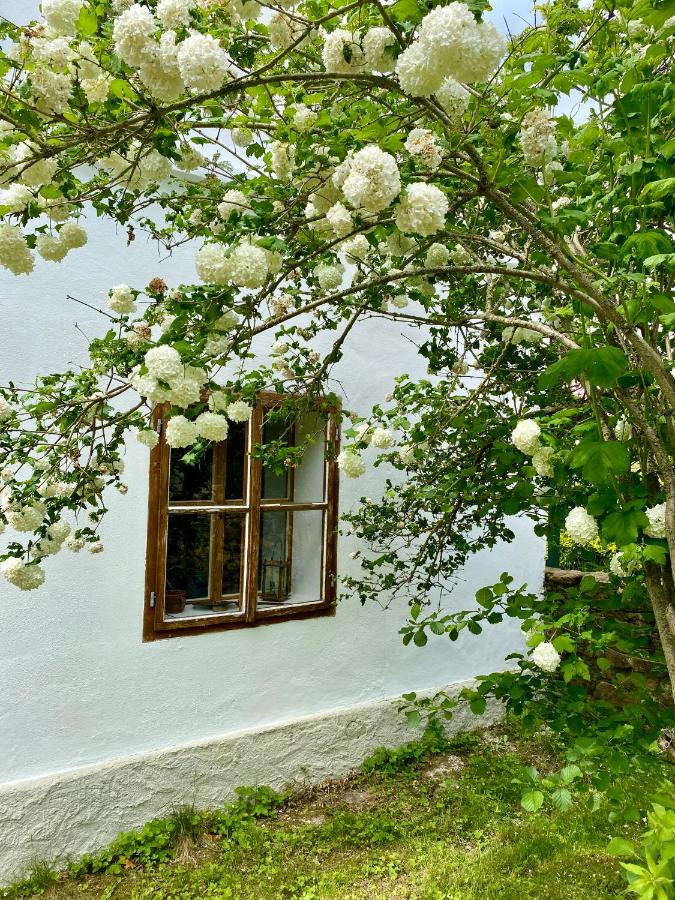 Stylově romantická venkovská chalupa Mlýnské Struhadlo - B&B Mlýnské Struhadlo
