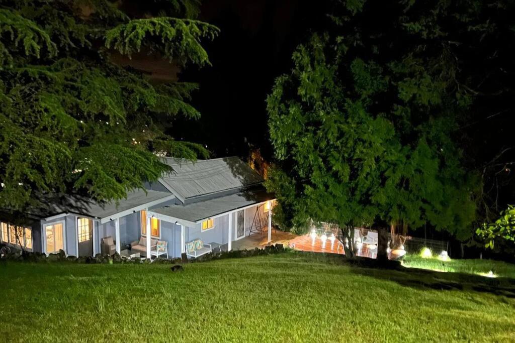 Pine Hill Cottage - shabby chic & peaceful haven - B&B Katoomba