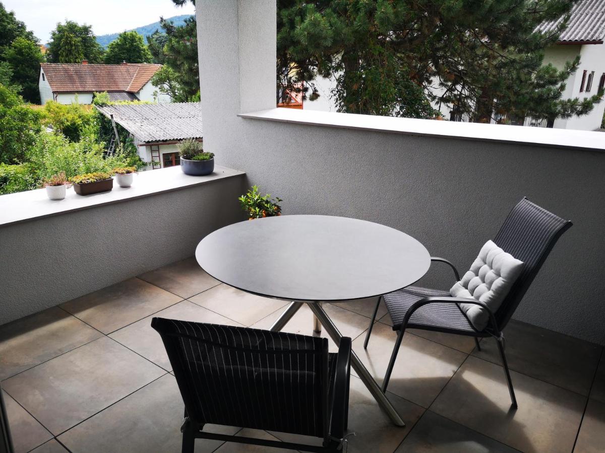 Spacy Apartment next to the center of Graz with terrasse - Ferienwohnung Graz
