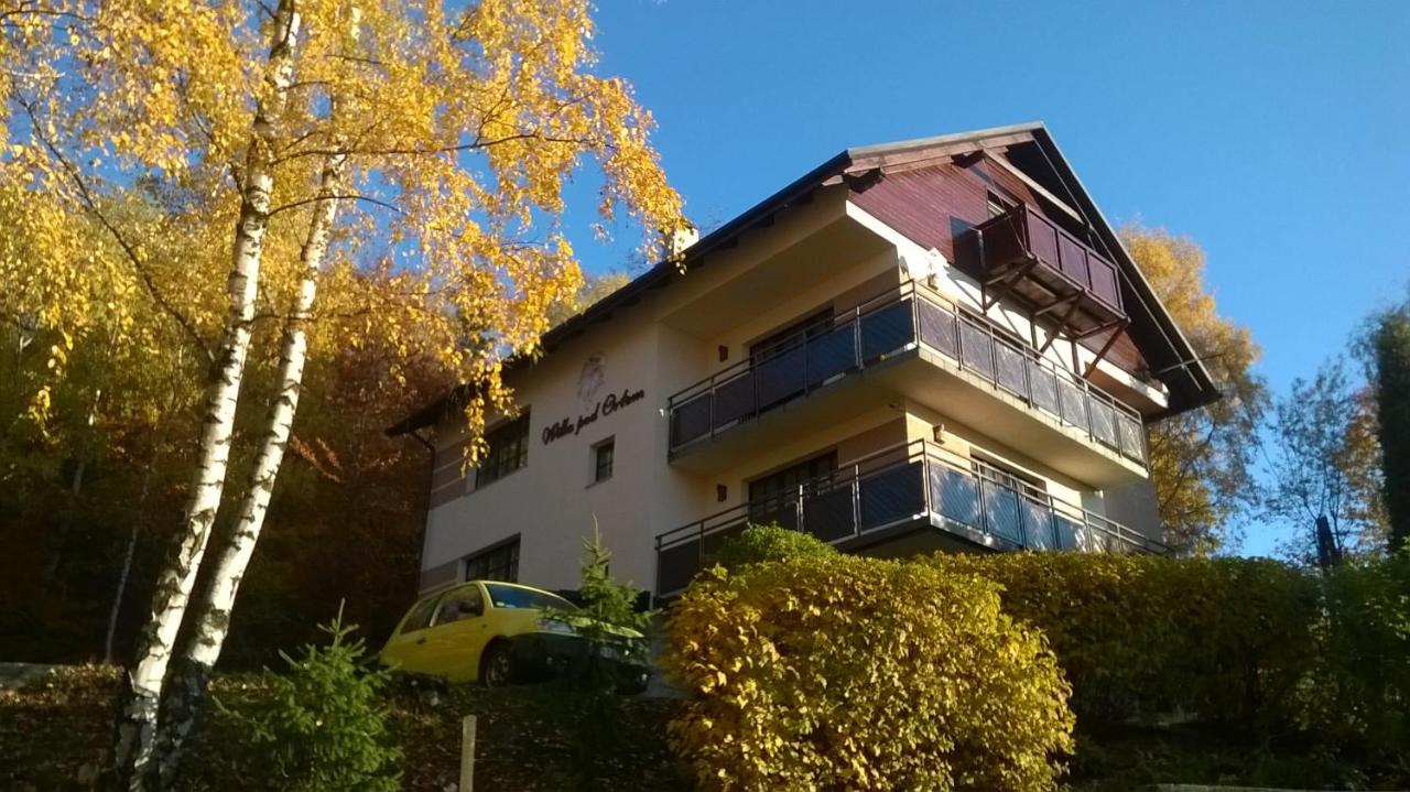 Willa pod Orłem - B&B