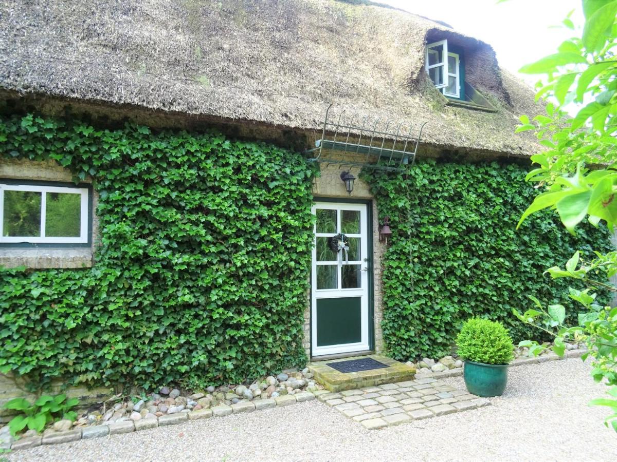 Kleines Reethaus Johannsen - mit geschmackvoller Einrichtung und tollem Garten - B&B Silberstedt