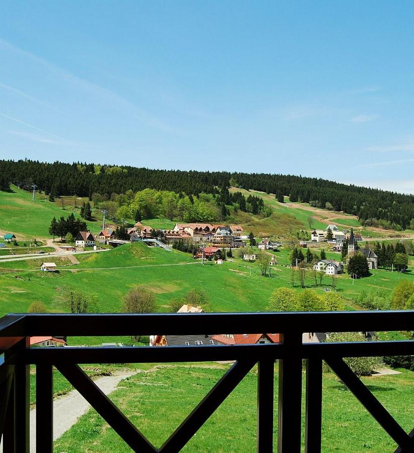 Domek Zieleniec - B&B