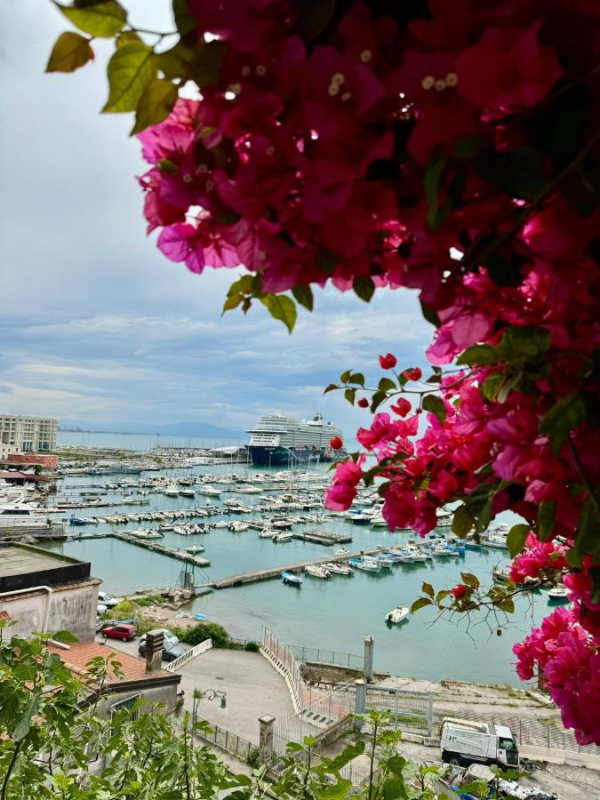 Alizée Holiday Apartment - Chambres d’hôtes Salerne