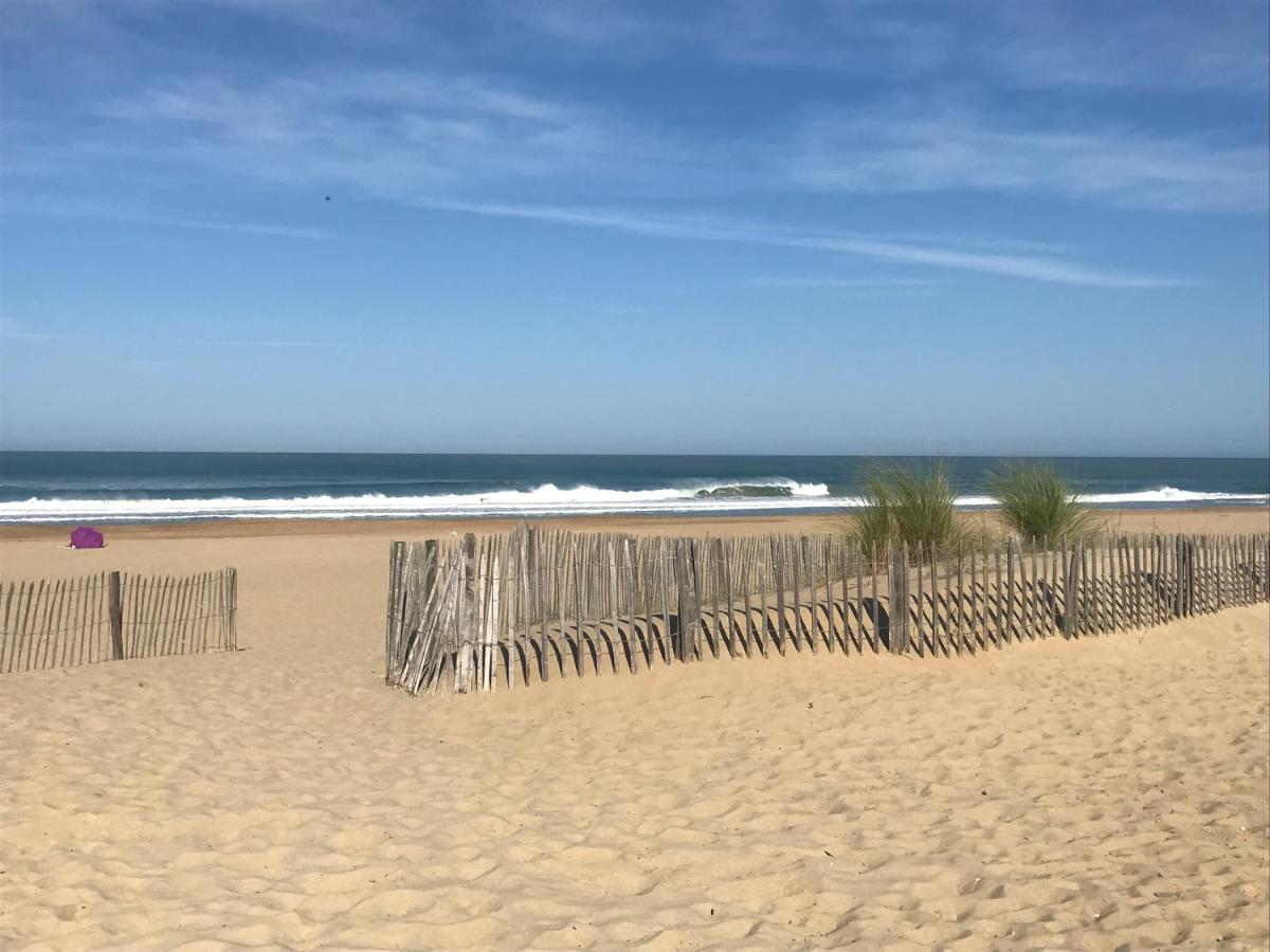 Hippocampe - B&B Anglet