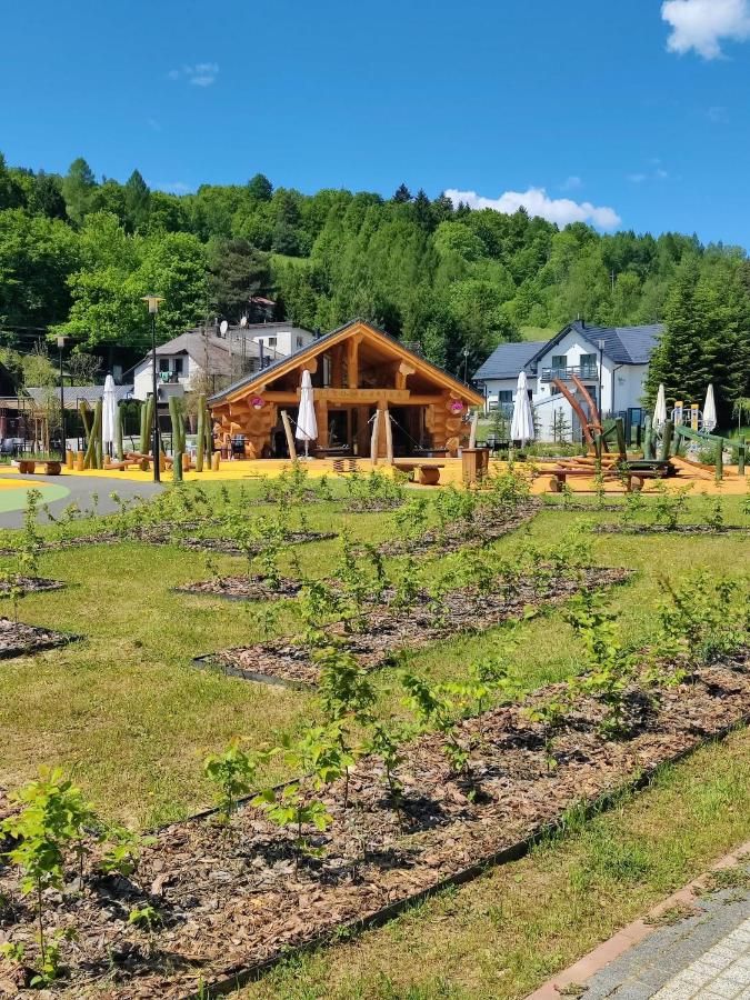 Willa VITA Muszyna - rodzinne apartamenty blisko natury i atrakcji - 15min pieszo do centrum - 15min autem do stoku - Chambres d’hôtes
