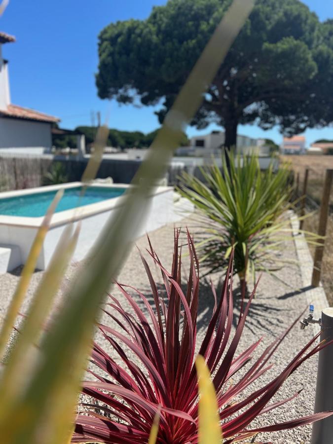 Meco Lodge Private Pool Full of Grace - B&B Sesimbra