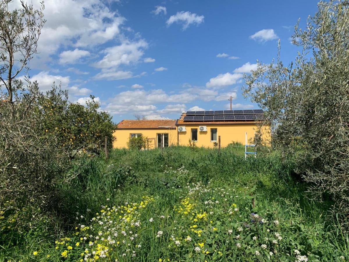 Arnè - Ferienwohnung