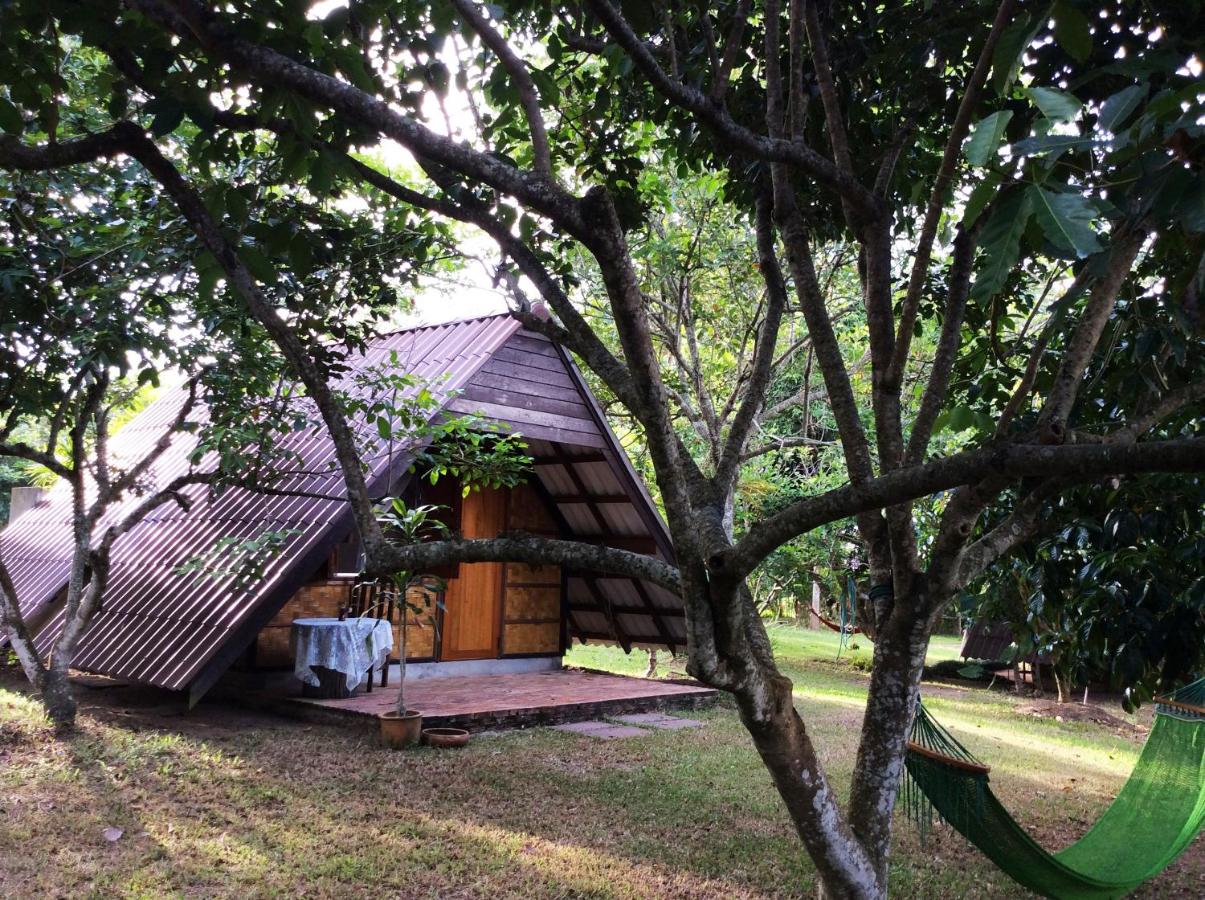 Chambre Lits Jumeaux - Vue sur Jardin