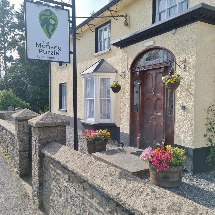 The Monkey Puzzle - B&B