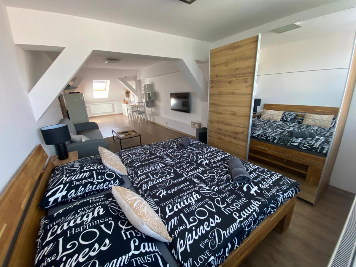 Černý Tulipán - apartmán 6 - B&B