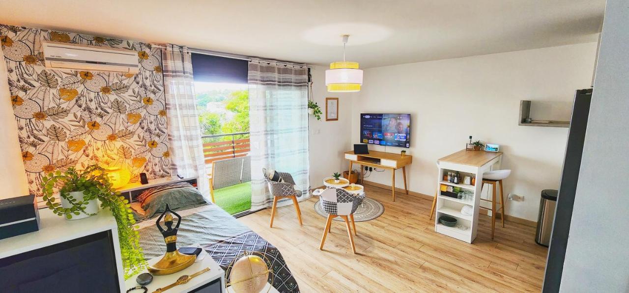 Grand studio proche aéroport - B&B