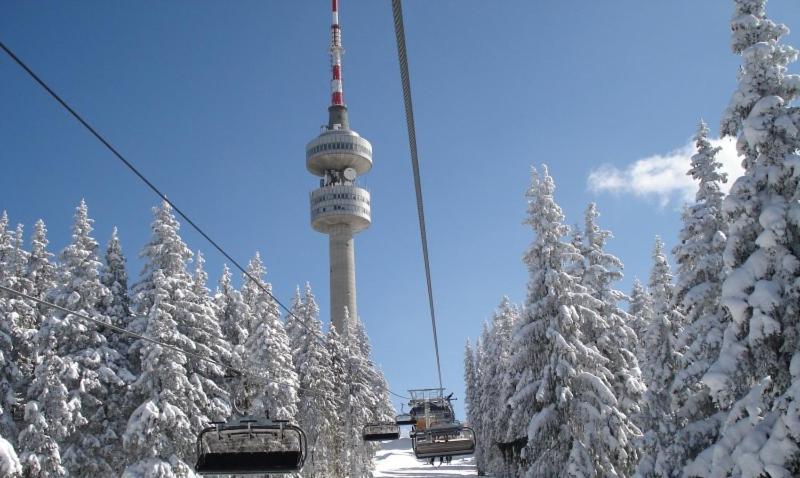 Apartment Snezhanka - B&B Pamporovo