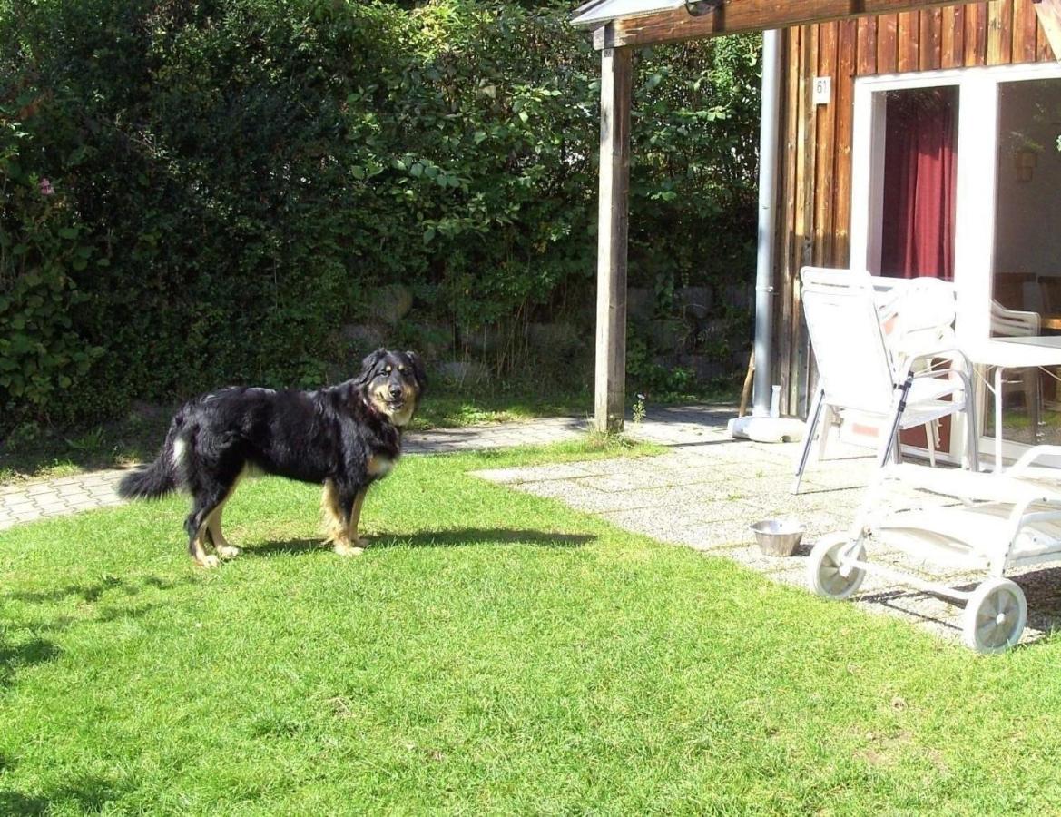 Ferienhaus in Zandt mit Garten, Terrasse und Grill - b43284 - Ferienwohnung Zandt