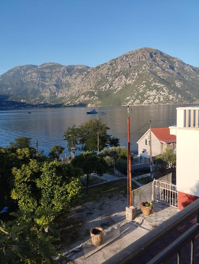 Amarillys - B&B Donji Morinj