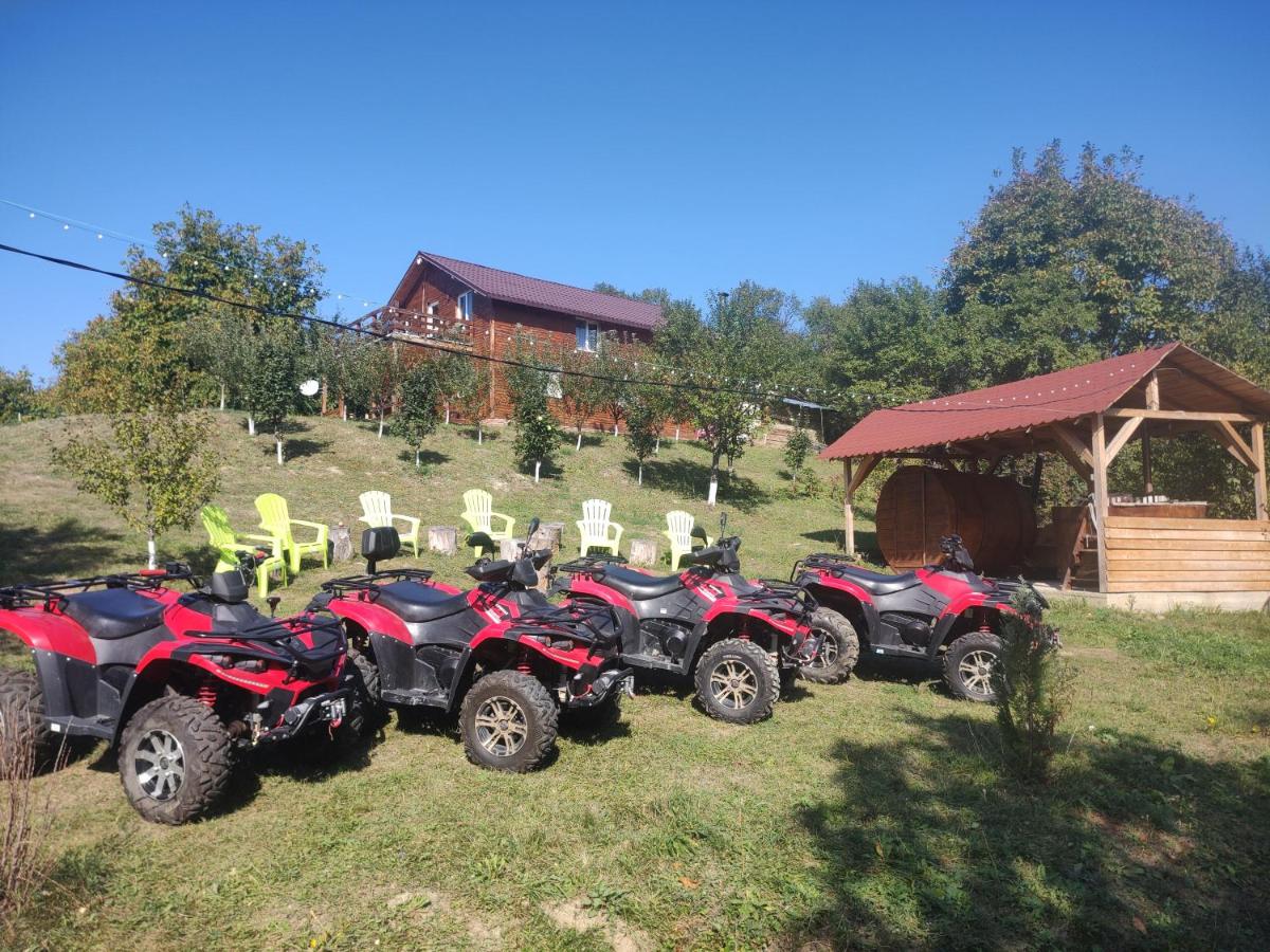 Cabana Măgura - B&B