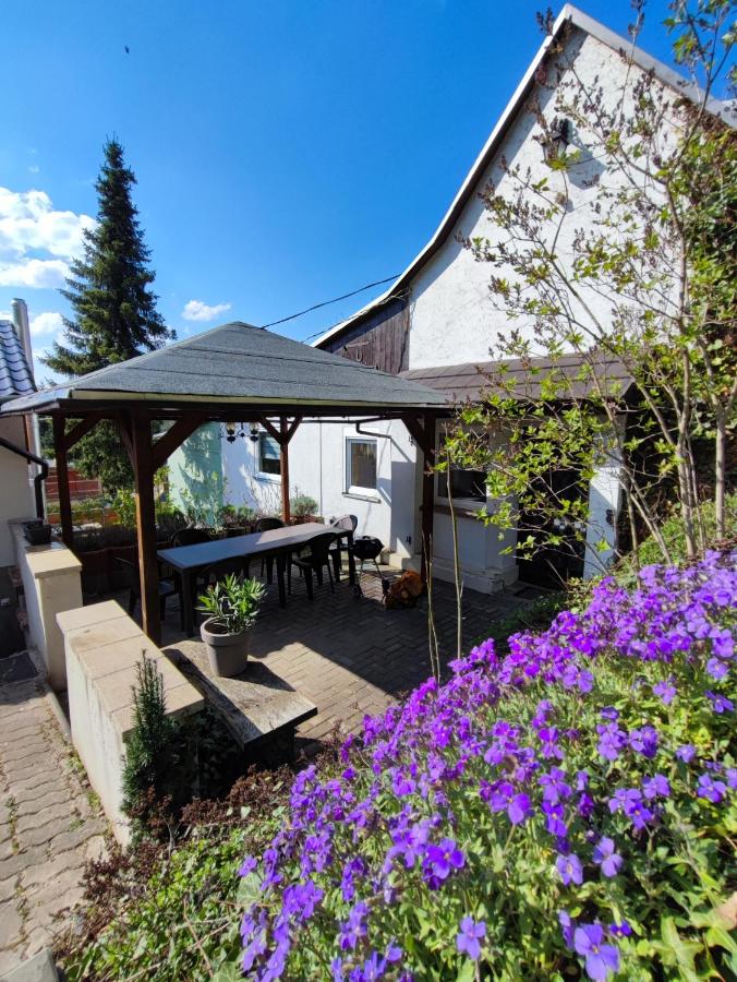 Große Reblaus - Wohnen im Weinberg in der Toskana des Nordens - Chambres d'hôtes Freyburg