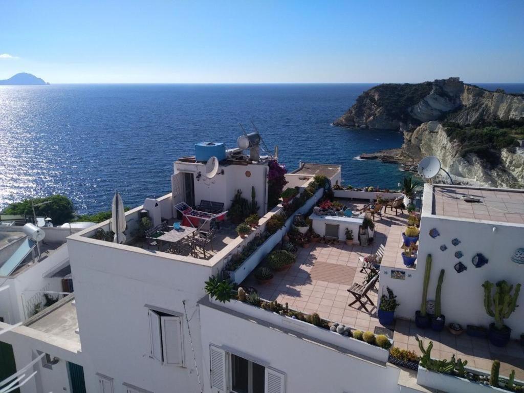 Palmacava - B&B Ponza