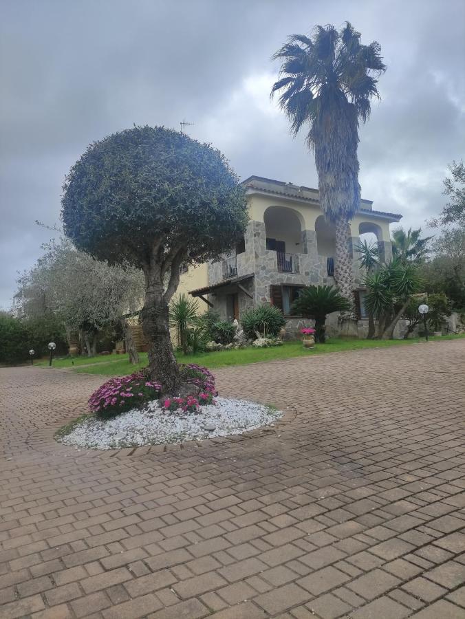 Ulivo A1 - B&B